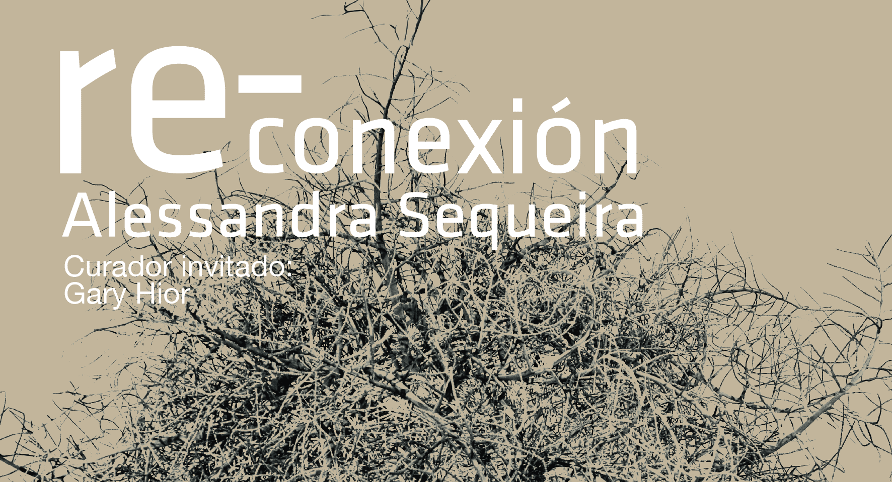 Re-Conexión