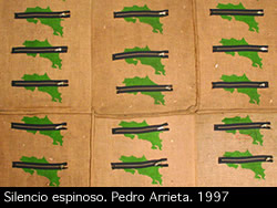 Obra "Silencio espinoso" de Pedro Arrieta, 1997, en la exposición Horizontes Oblicuos en el MADC, Costa Rica.