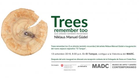 Trees remember too (Los árboles también recuerdan). Niklaus Manuel Güdel